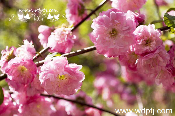 ��q���U�类9