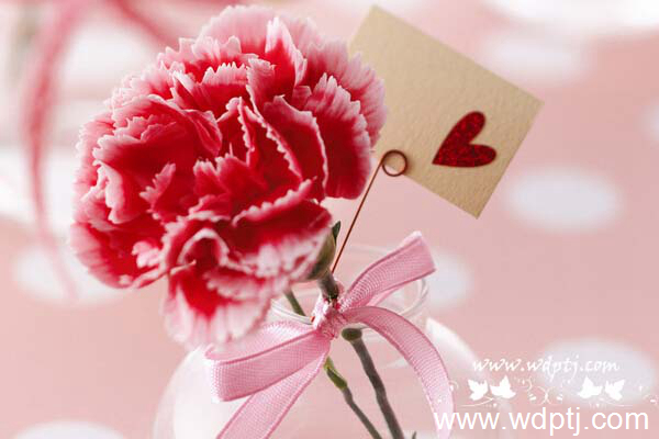 ��q���U�类3