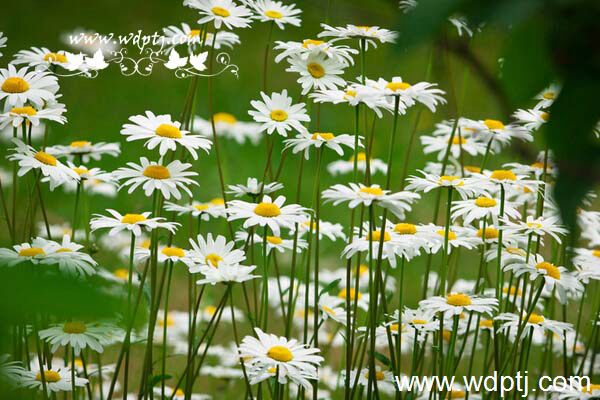 ��q���U�类12