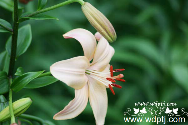 ��q���U�类2