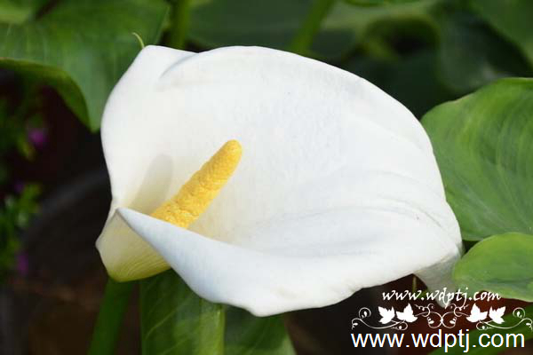 ��q���U�类15