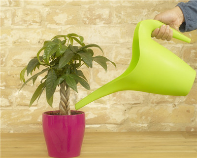 发胦(ch)?wi)的LҎ(gu)