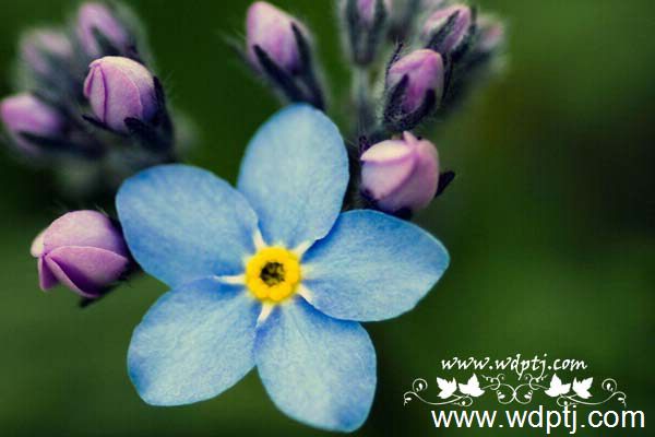 ��q���U�类6