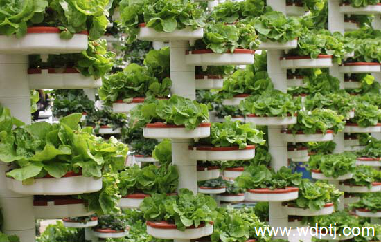 無(wú)土栽培營(yíng)養(yǎng)液配方